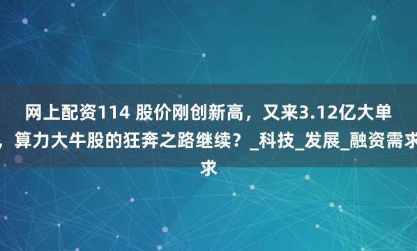 网上配资114 股价刚创新高，又来3.12亿大单，算力大牛股的狂奔之路继续？_科技_发展_融资需求