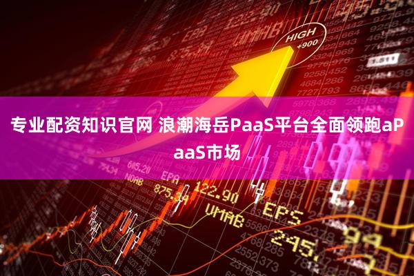 专业配资知识官网 浪潮海岳PaaS平台全面领跑aPaaS市场