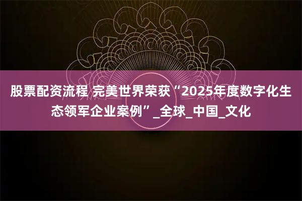 股票配资流程 完美世界荣获“2025年度数字化生态领军企业案例”_全球_中国_文化