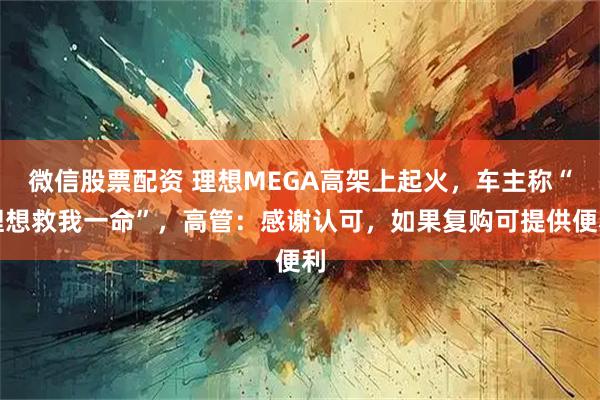 微信股票配资 理想MEGA高架上起火，车主称“理想救我一命”，高管：感谢认可，如果复购可提供便利